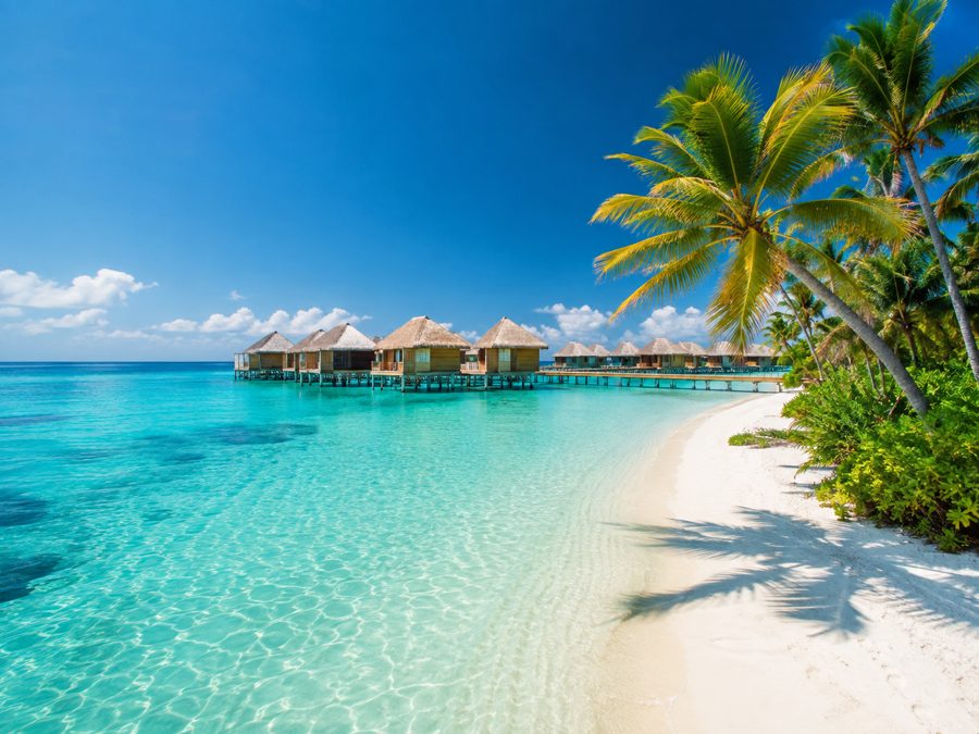 Maldives Paradise